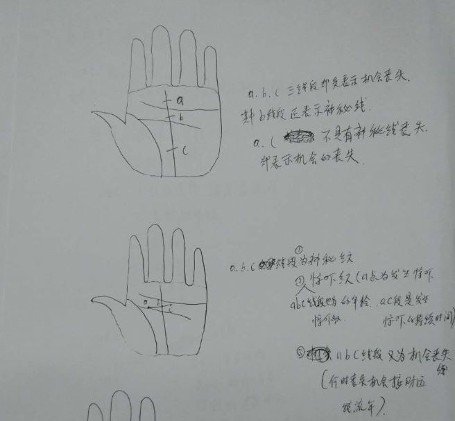 价值3万元手掌手相培训班笔记
