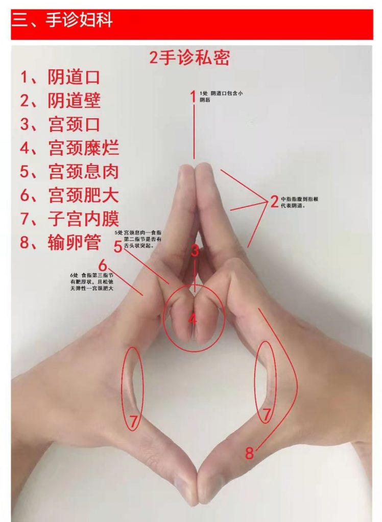 徒手私密手诊内部教学文档+视频